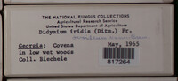 Image Associated With the Occurence